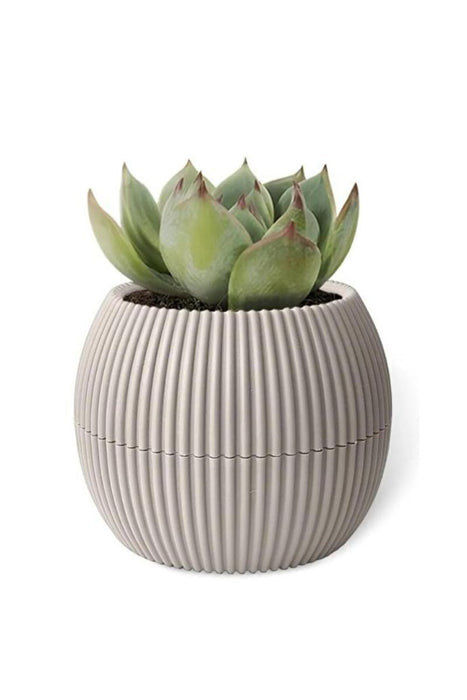 FLOWER POT CORAL PVC D9 CM BEIGE