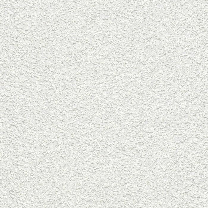 WALLPAPER VINYL SPRAYED PLASTER