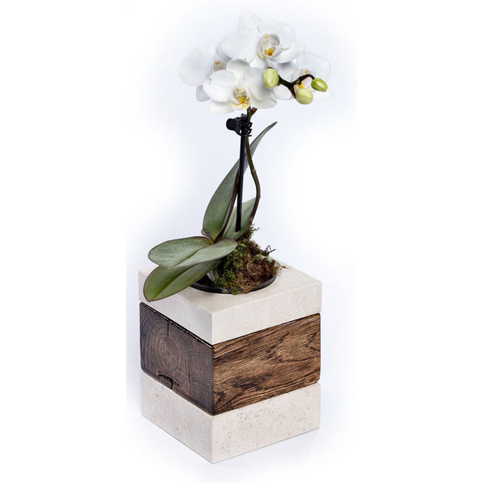 CACTUS POT 8X8X20CM HILDE