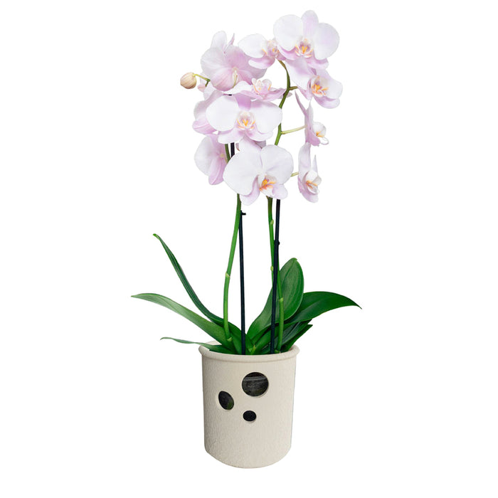CERAMIC POT 13.5X14CM CYLINDER ORCHID