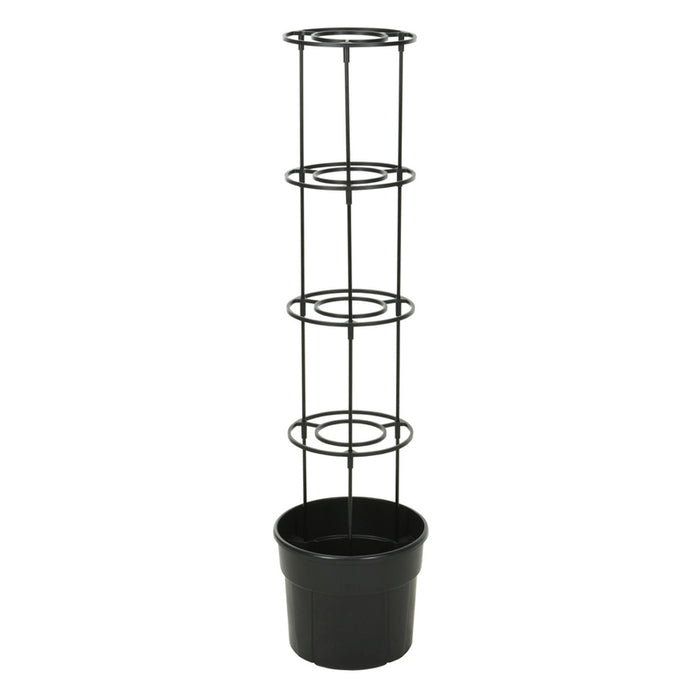 TOMATO POT Y89300100
