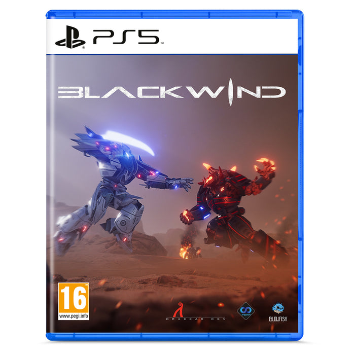 BLACKWIND PS5 game