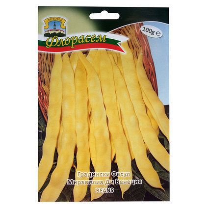MIRAVILLIA DE VENICE BEAN SEEDS