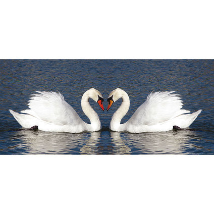 PHOTO WALLPAPER HORIZONTAL 202X90 CM. 1Ch. SWANS