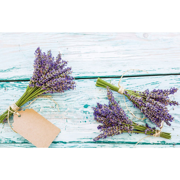 TABLE MAT PVC 28X43 CM.