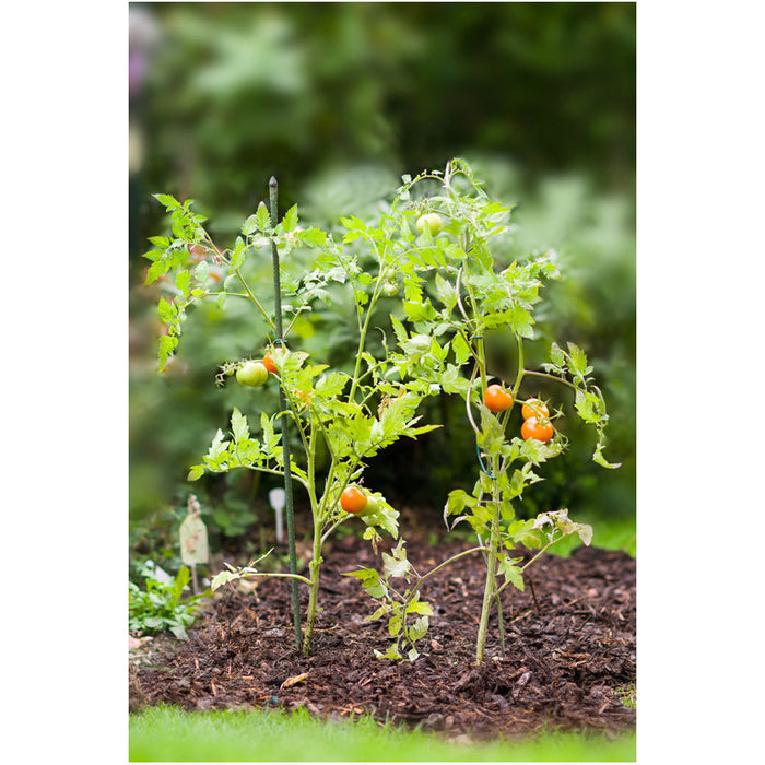 PEG FOR PLANTS 150CM