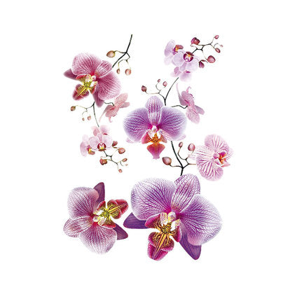 DISNEY STICKER 65X85CM./1 PART ORCHID