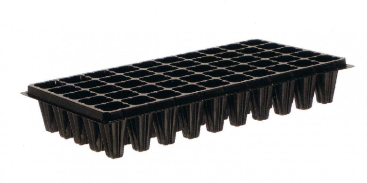 SEEDLINGS FORM 50 NESTS 5X5CM