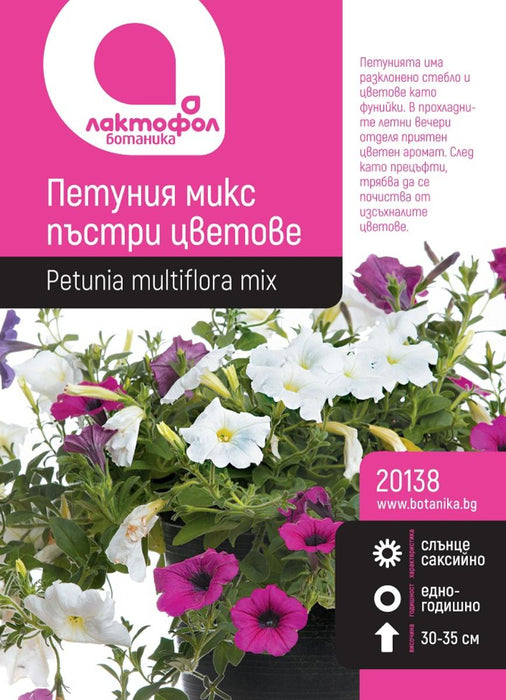 PETUNIA MIX SEEDS BOTANICAL