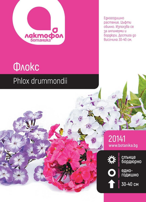 PHLOX SEEDS BOTANICAL