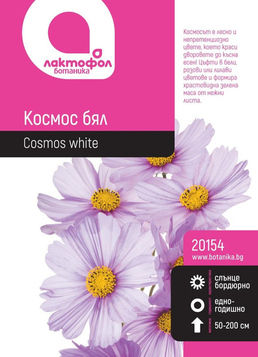 COSMOS SEEDS WHITE BOTANICAL