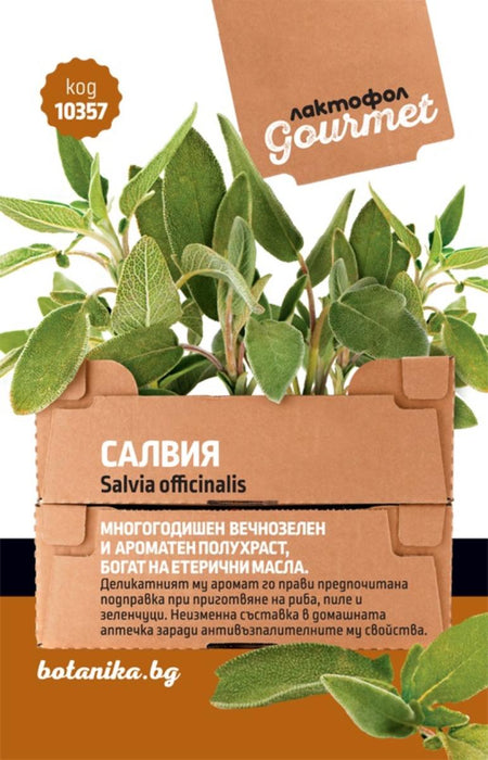 GOURMET SALVIA SEEDS