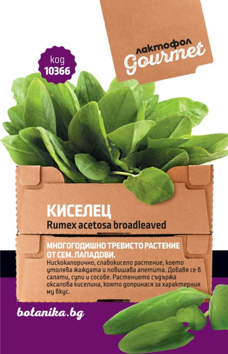 GOURMET SORREL SEEDS