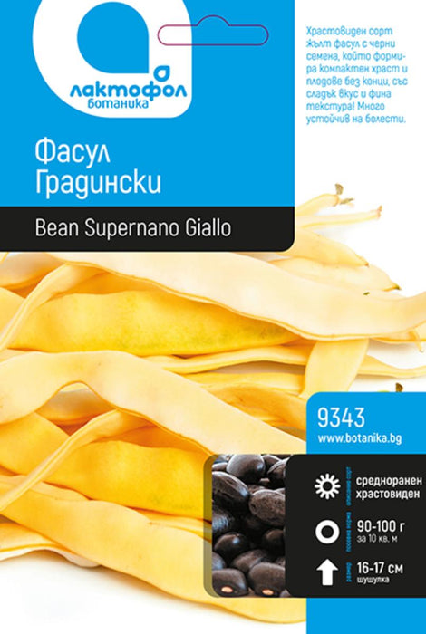 SUPERNANO GIALLO BEAN SEEDS BOTANY