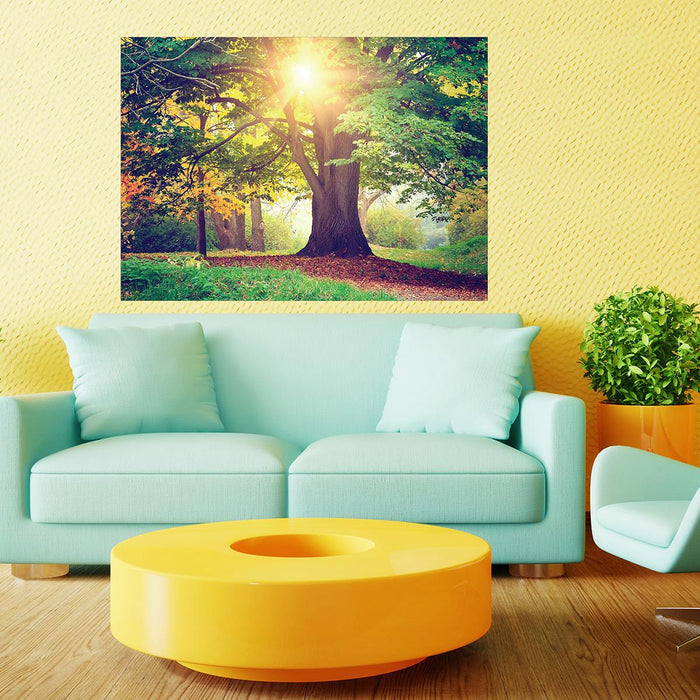 PHOTO WALLPAPER FLEECE 160X110/1H POSTER FOREST
