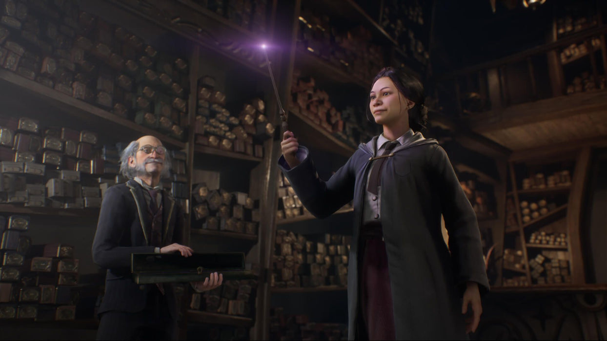Hogwarts Legacy Game (PS4)