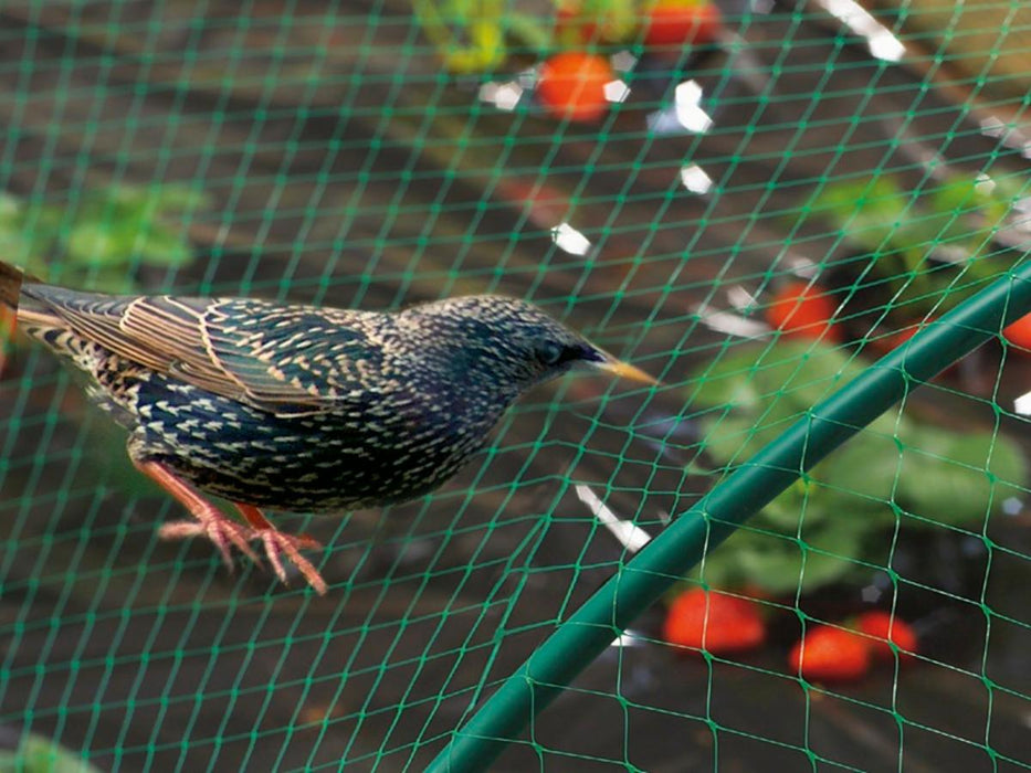 ANTI-BIRD NETTING 4 X 10 M
