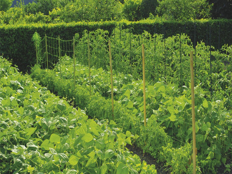 NETTING FOR PLANTS 1.7 X 10 M