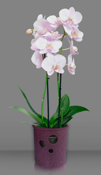 CYLINDER POT ORCHID 13.5 CM VIOLET