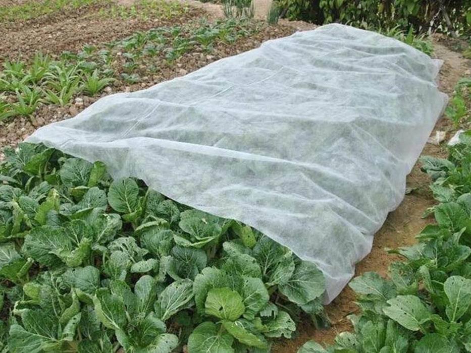ANTI-FROSTING COVER WHITE 1.6 X 5M 17G