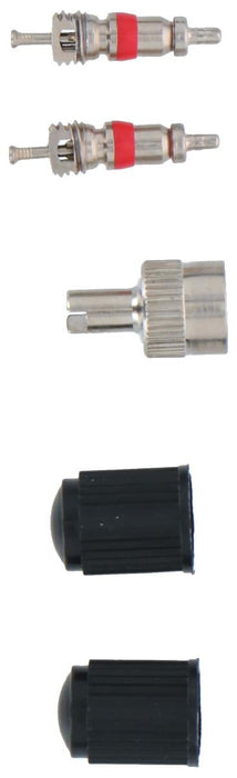 DUNLOP 5 PIECE BICYCLE VALVES