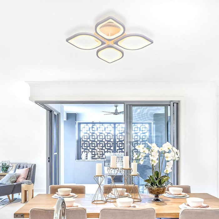 LED CEILING LIGHTS VIKI 60W