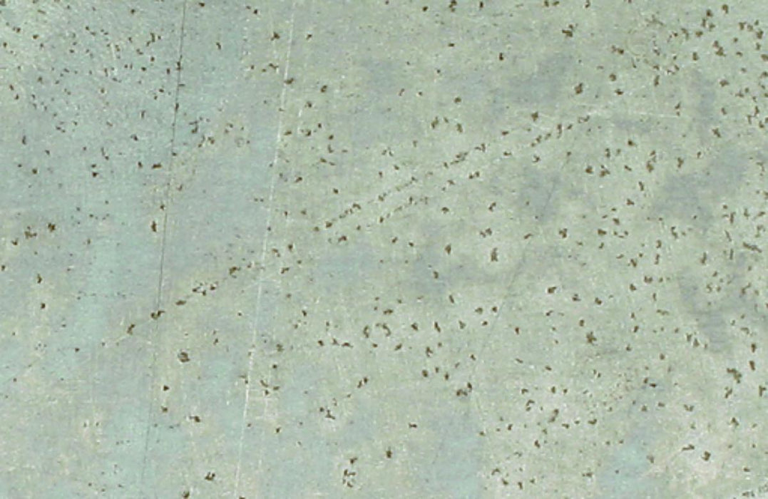 ALUMINUM SHEET METAL 50X20CM