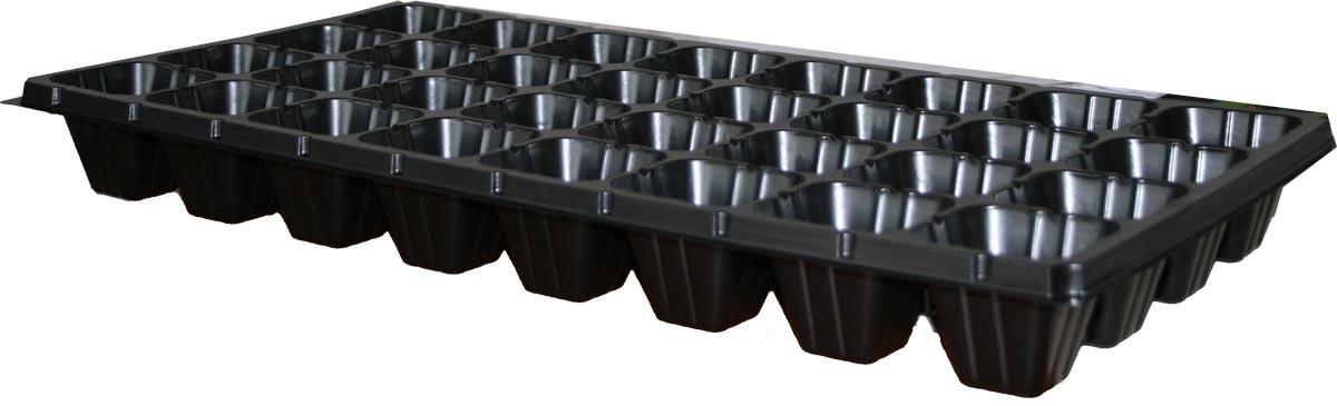 SEEDLINGS FORM 32 BOXES 6X6CM