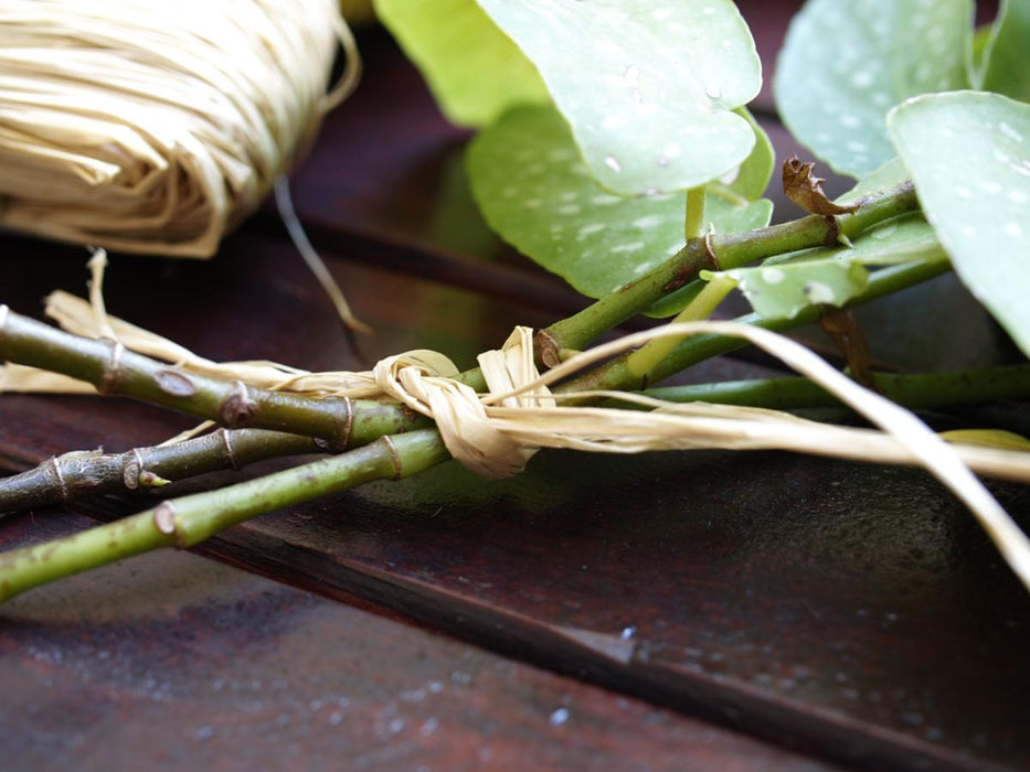 NATURAL RAFFIA 50 GR