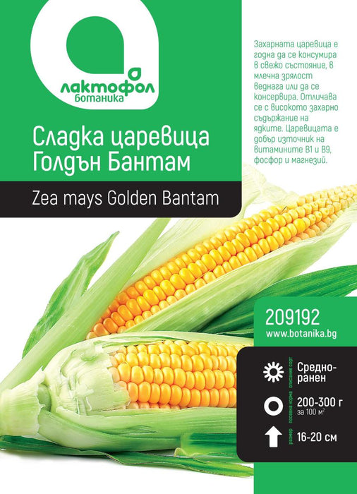 SEED CORN SWEET GOLDEN BAN