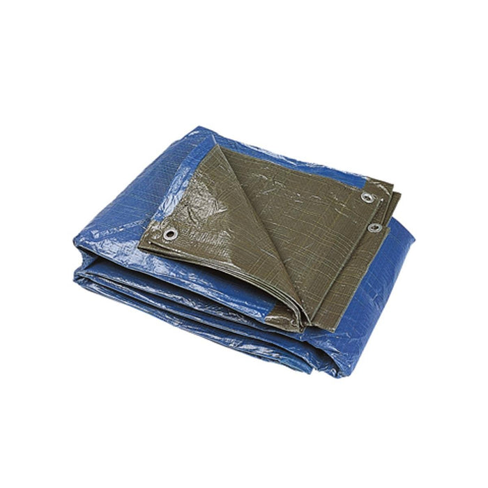 CANVAS 8 X 12 M POLYETHYLENE 70 G/M2