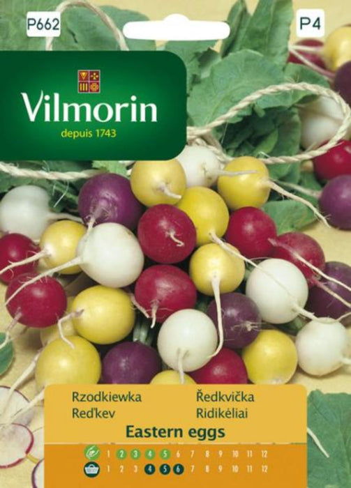 RADISH MIX COLOR SEEDS. VILMORIN