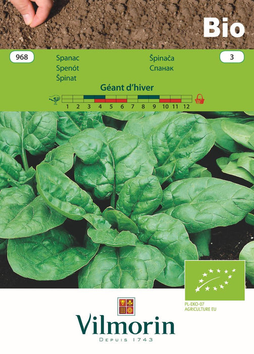 SPINACH SEEDS GEANT D'HIVER BIO C