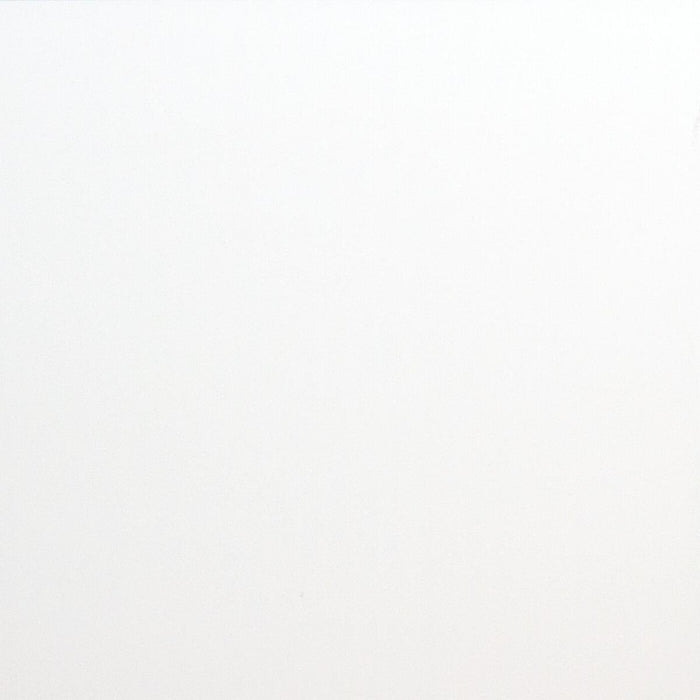 PANEL PVC 60/60CM WHITE
