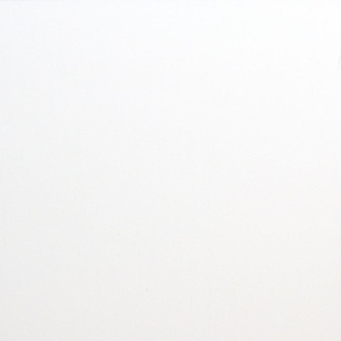 PANEL PVC 60/60CM WHITE