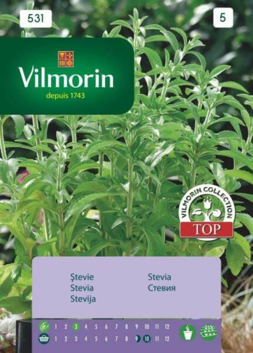 STEVIA SEEDS