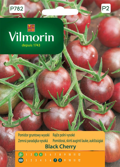 SEEDS CHERRY TOMATO BLACK CHERRY
