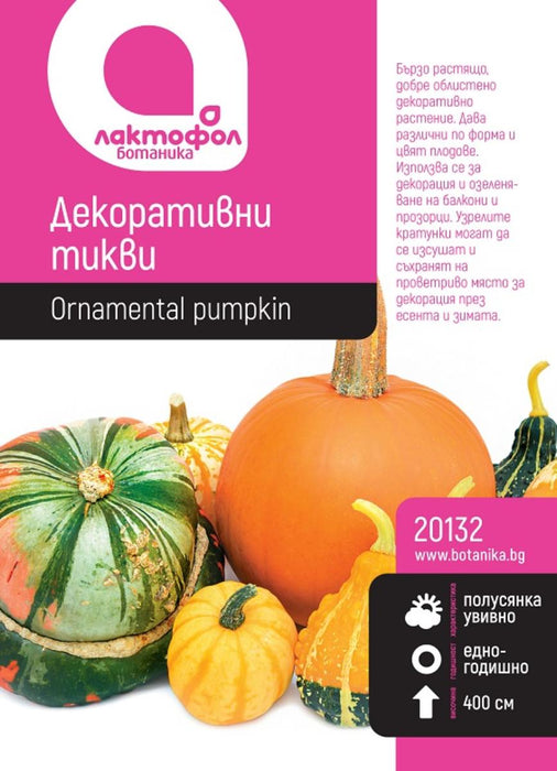 SEEDS DECORATIVE PUMPKINS BOTANIST