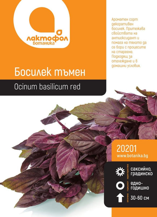 BASIL SEEDS DARK BOTANICAL