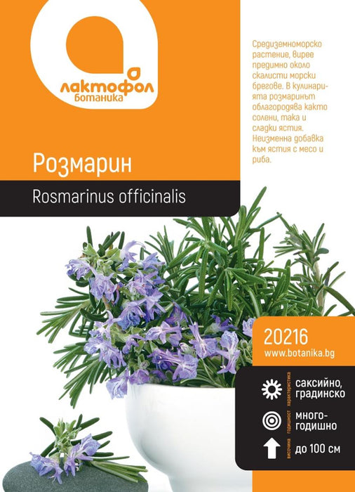 ROSEMARY SEEDS BOTANICAL
