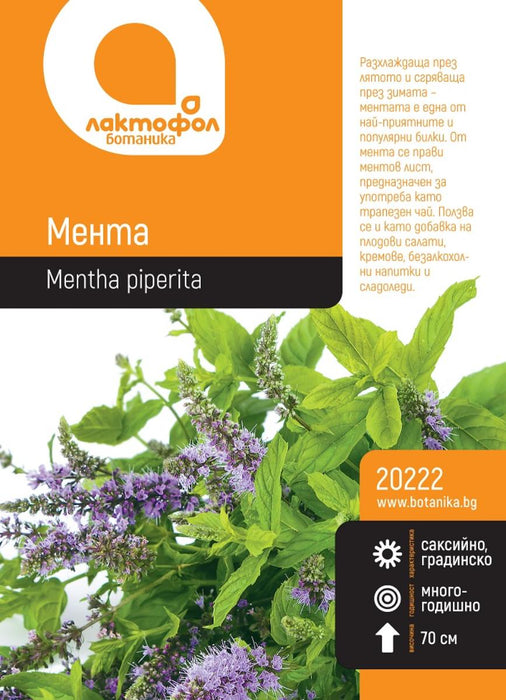 MINT SEEDS BOTANIST