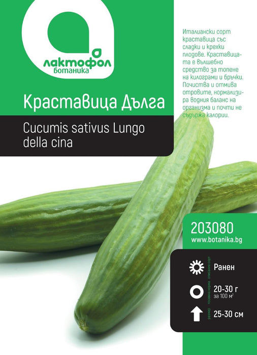 SEED CUCUMBER LONG BOTANICAL