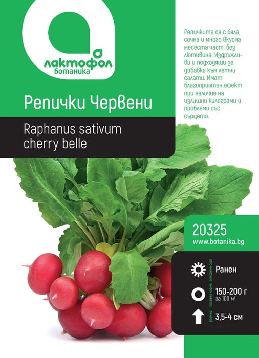 RED RADIPHA SEEDS BOTANICAL