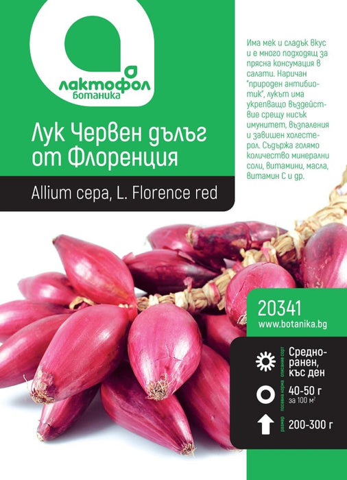 RED ONION SEEDS LONG BOTANICAL