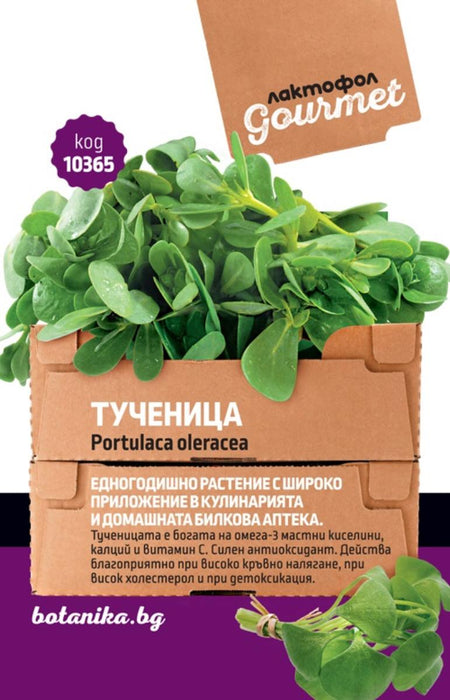 SEEDED PARSLEY GOURMET