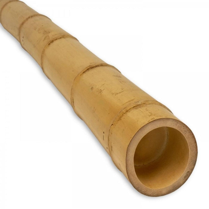 BAMBOO PEG F60/80 MM 2.4 M