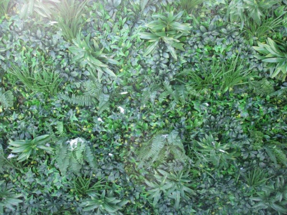 DECORATIVE PANEL FERN 1X1M 1 BR