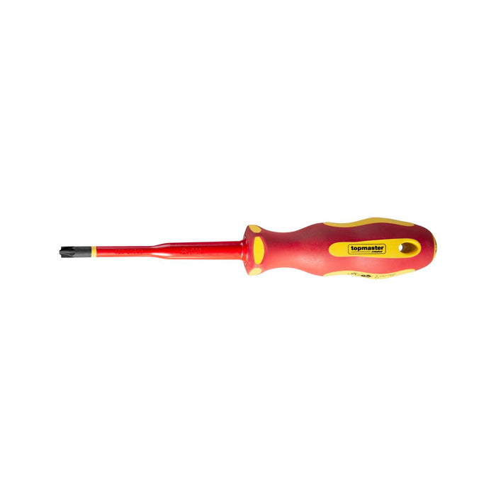 SCREWDRIVER CROSS COMBO PZ/ST 2X100MM TM
