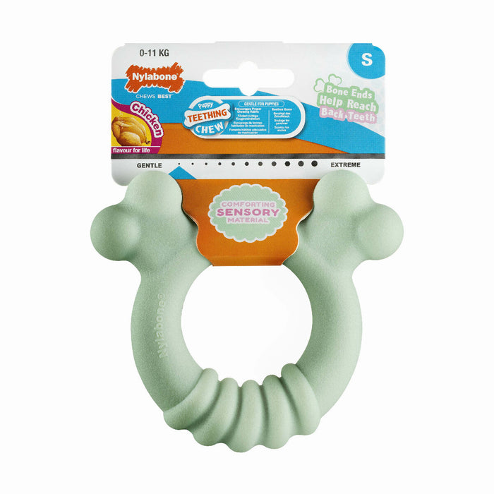 Dog chewing toy Nylabone SENSORY TACTILE RING Green Peanut butter Chicken S