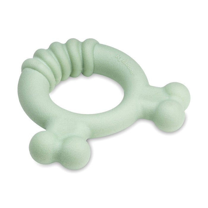 Dog chewing toy Nylabone SENSORY TACTILE RING Green Peanut butter Chicken S